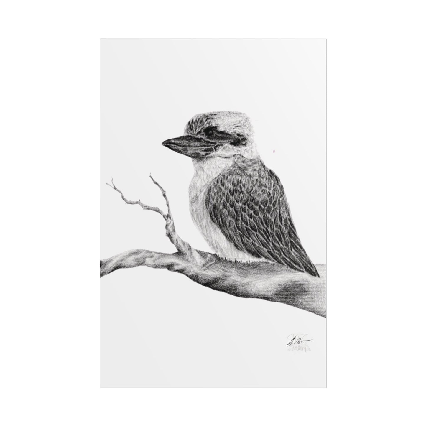 Elegant Kookaburra Rolled Poster - Nature Wildlife Art Print