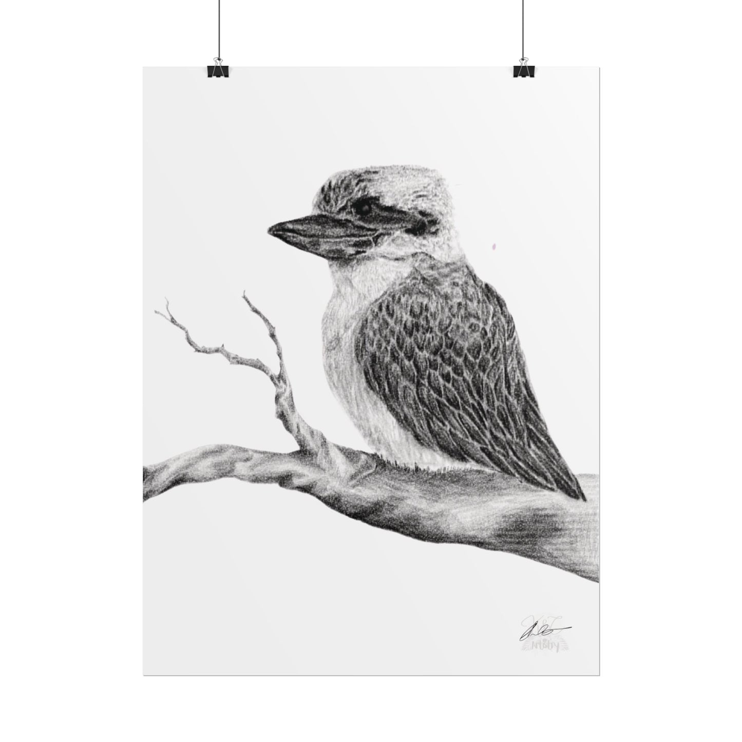 Elegant Kookaburra Rolled Poster - Nature Wildlife Art Print