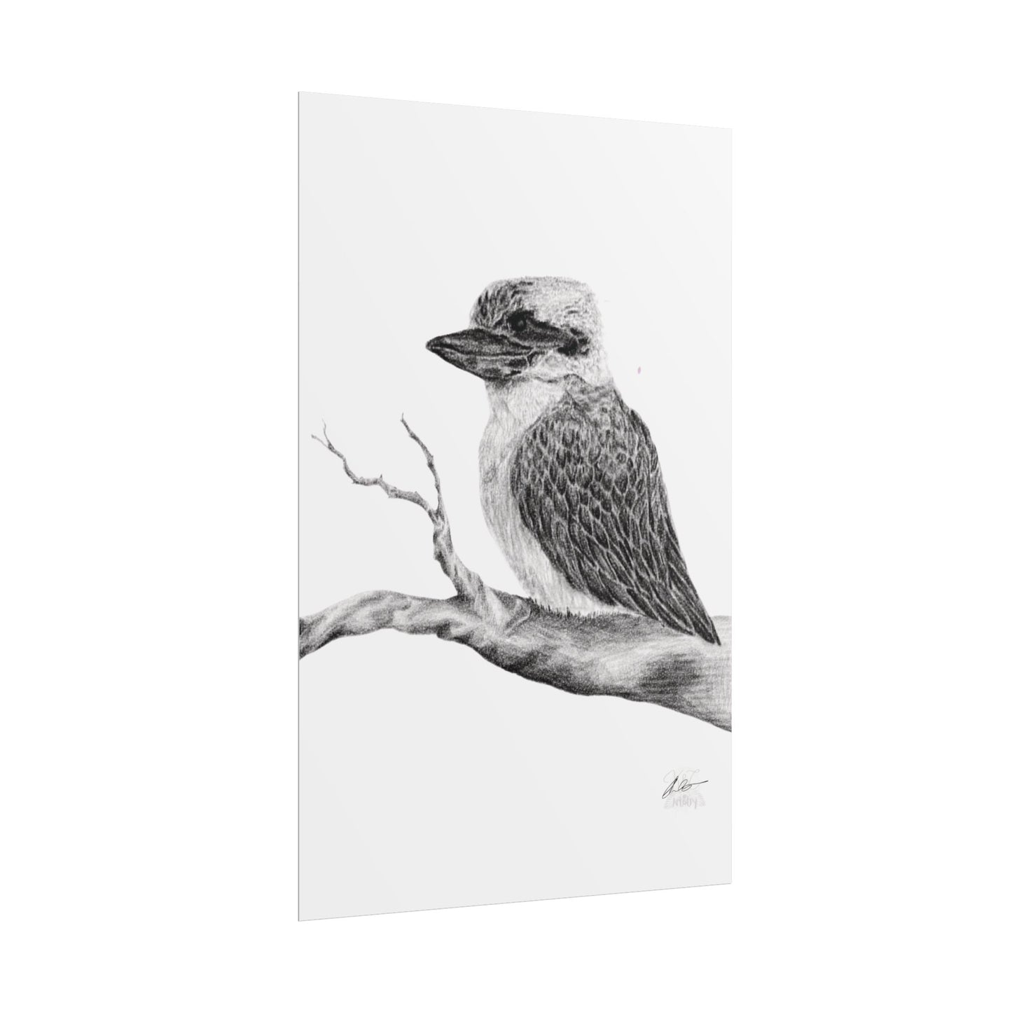 Elegant Kookaburra Rolled Poster - Nature Wildlife Art Print