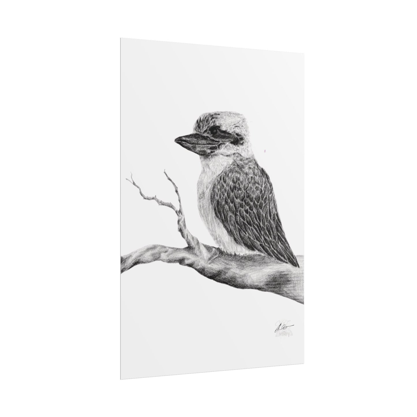 Elegant Kookaburra Rolled Poster - Nature Wildlife Art Print